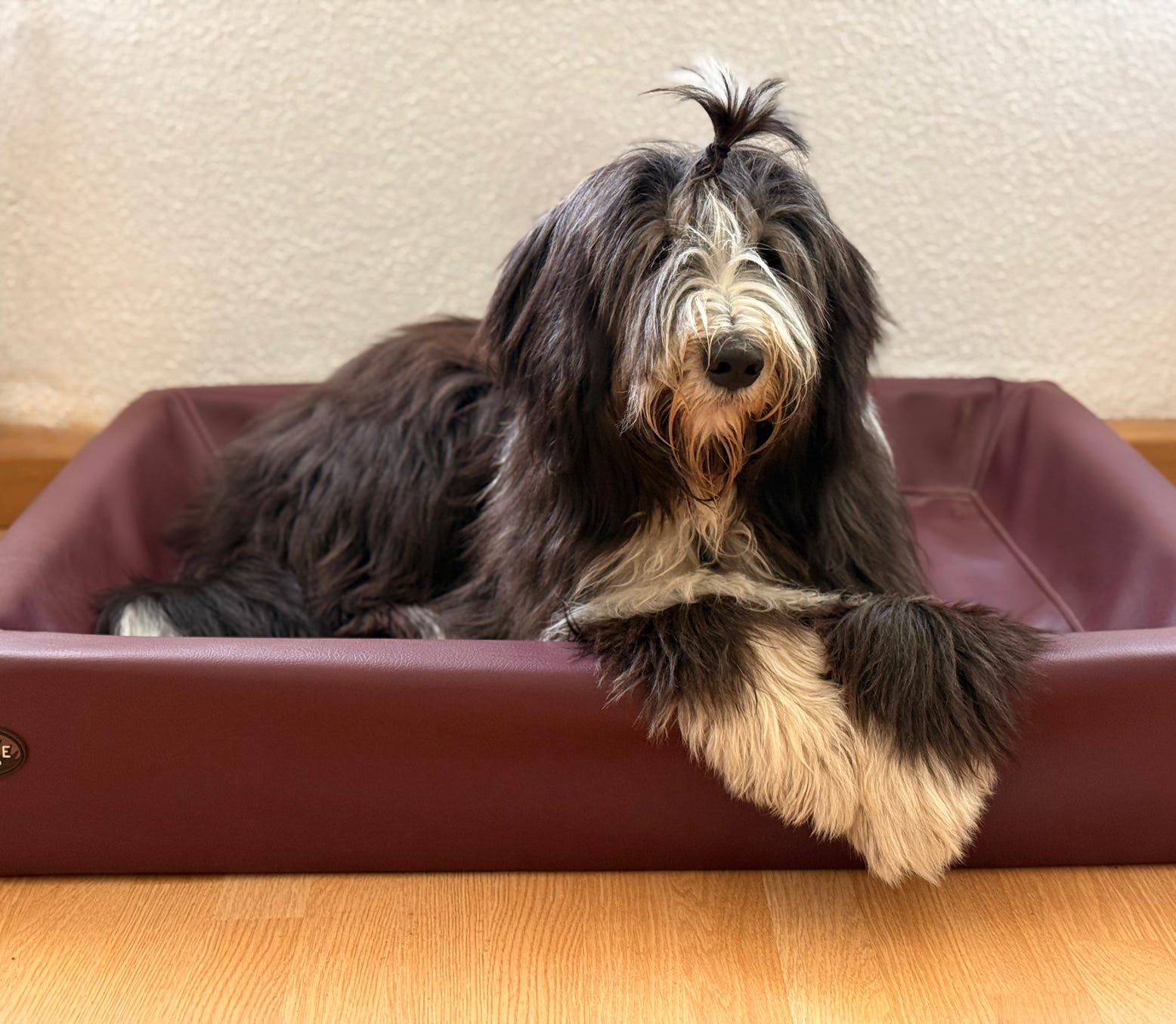 Kostenloses Stock Foto zu #indoor, assistent, beratung