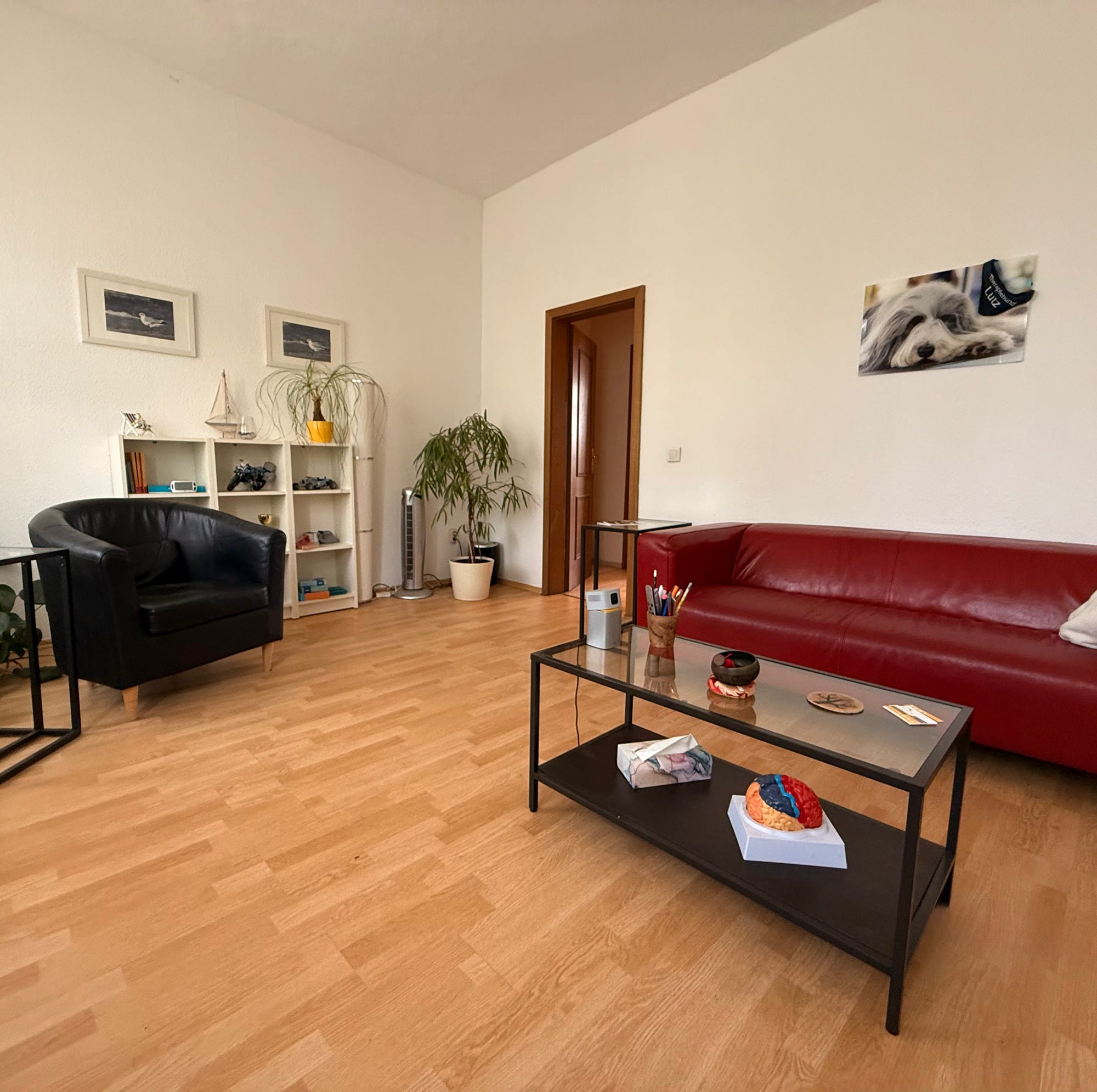 Kostenloses Stock Foto zu #indoor, barmherzigkeit, betreffen
